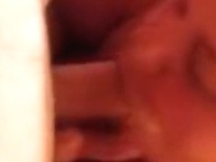 my bbw wife sucking cock