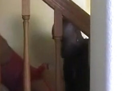 Sexy chubby blonde wife gets fucked by horny black neighbor and enjoying