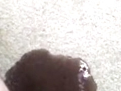 Pissing deep into the carpet while sitting