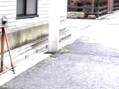 the ancient Japanese art part 2