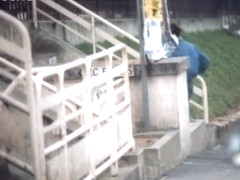 Anciens a bit longer.