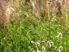 Kostenlos - Outdoor Ficken - Skandal