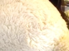 masiecat secret movie scene 07/15/15 on 05:twenty one from MyFreecams