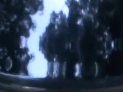 Real lovers fucking in a car, parked by the woods