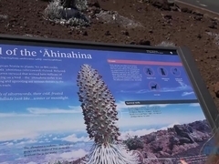 Exotic pornstar Angel Smalls in Fabulous College, Softcore sex video