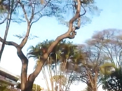 delicia de shortinho