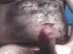 bull playing with his big cock